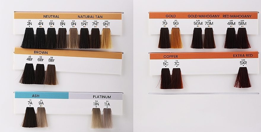 Hair Color Palette - Aloxxi Swatch Book ANDIAMO Express Permanent Colour — photo N2