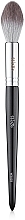 Blush & Highlighter Brush W3025, corn fiber - WoBs — photo N1