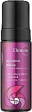 Cleansing Foam for Face and Body - _Element Snail Slime Filtrate Creamy Foam For Face Care — photo N1