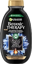 Fragrances, Perfumes, Cosmetics Charcoal & Black Thyme Oil Shampoo - Garnier Botanic Therapy Balancing Shampoo