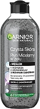 Micellar Charcoal Face Gel - Garnier Skin Naturals Pure Skin — photo N1