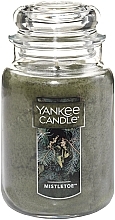 Fragrances, Perfumes, Cosmetics Scented Candle in Jar 'Mistletoe' - Yankee Candle Mistletoe Candle