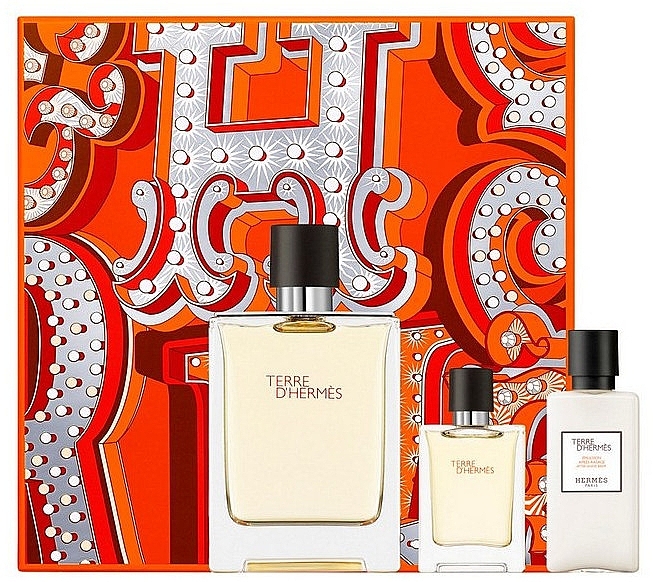 Hermes Terre d’Hermes - Set (edt/100ml + edt/12.5ml + a/sh/lot/40ml) — photo N1