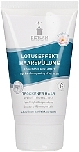 Lotus Effect Conditioner - Bioturm Lotus Effect Conditioner Nr.18 — photo N1