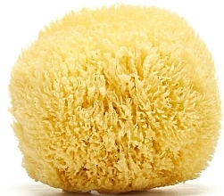 Natural Caribbean Sea Sponge 11.5 cm - Hydrea London Grass Sea Sponge Caribbean Origin — photo N2