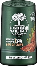 Fragrances, Perfumes, Cosmetics Men Deodorant with Cedar Extract - L'Arbre Vert Deodorant