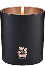 Noble Isle Willow Song - Scented Candle — photo N1