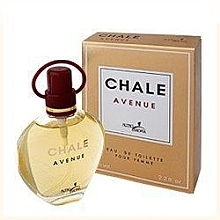 Fragrances, Perfumes, Cosmetics Altro Aroma Chale Avenue - Eau de Toilette