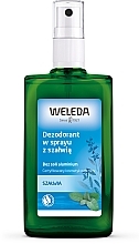 Fragrances, Perfumes, Cosmetics Body Deodorant "" - Weleda Sage Deodorant