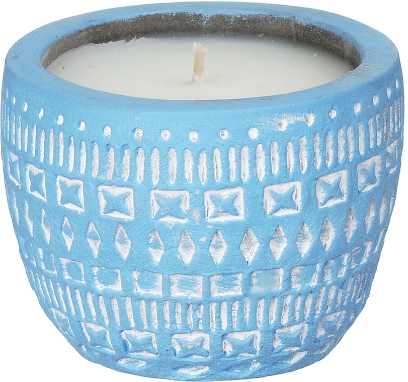 Paddywax Sonora Wisteria & Willow - Scented Candle — photo N3