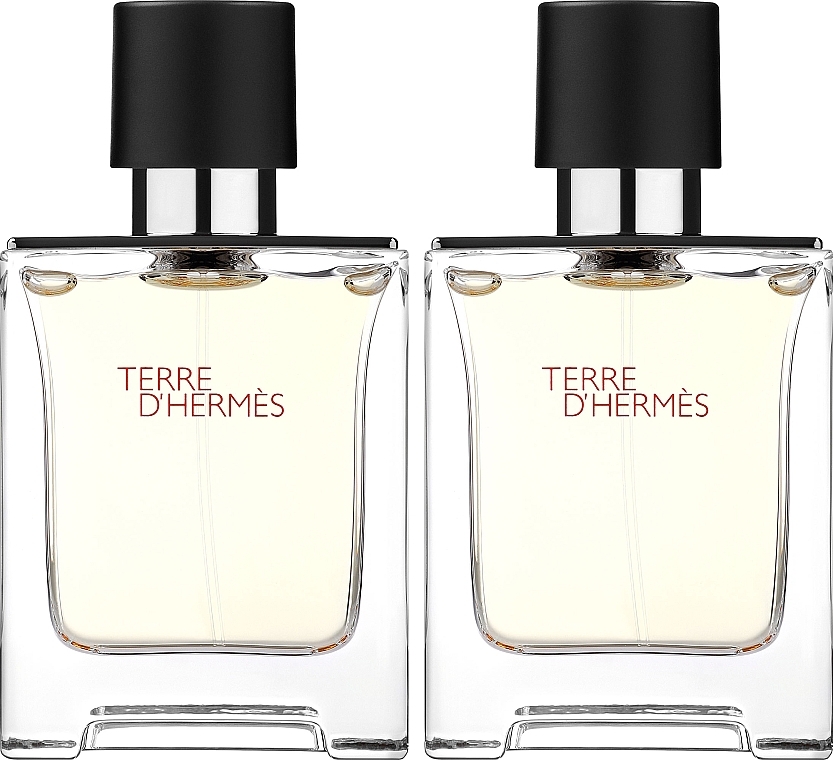 Hermes Terre D'Hermes - Set (edt/2x50ml) — photo N2