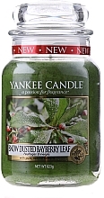 Fragrances, Perfumes, Cosmetics Scented Candle - Yankee Candle Snow-Dusted Bayberry Leaf