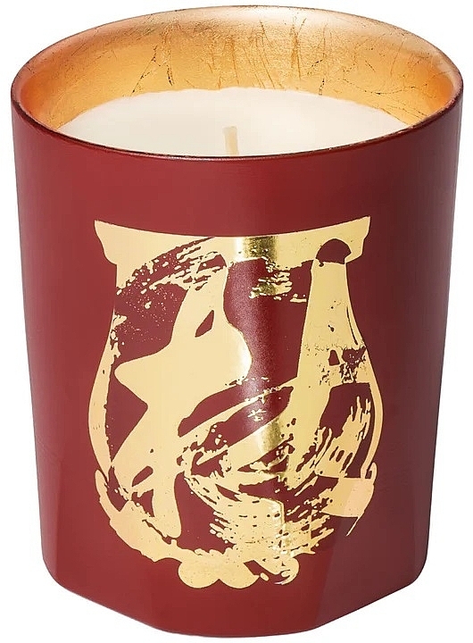 Terre a Terre Scented Candle - Cire Trudon x Maitre Tseng Limited Edition — photo N2