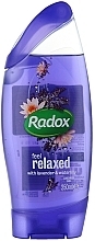 Feel Relaxed Shower Gel - Radox Feel Relaxed Shower Gel — photo N3