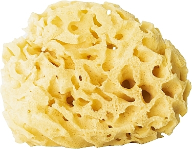 Natural Sponge, yellow, 12,5 cm - Hhuumm 03H Natural Sponge — photo N1