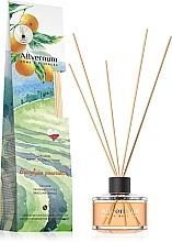 Fragrances, Perfumes, Cosmetics Reed Diffuser "Brazilian Orange", with sticks - Allverne Home&Essences Diffuser 