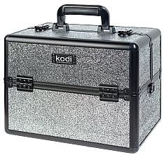 Cosmetic Case #42, dark silver opal - Kodi Professional Dark Silver Opal Case — photo N1