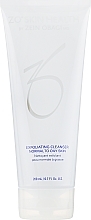 Fragrances, Perfumes, Cosmetics Exfoliating Cleansing Gel - Zein Obagi Exfoliating Cleanser for Normal to Oily Skin 