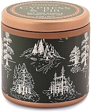 Scented Candle in Jar 'Cypress & Fir' - Paddywax Cypress & Fir Copper Tin Candle Green With White Toile Pattern — photo N1