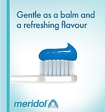 Toothpaste - meridol Complete Care Sensitiv Gums&Teeth — photo N8