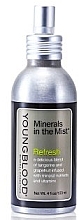 Refreshing Mineral Face Spray - Youngblood Minerals In The Mist Refresh — photo N1