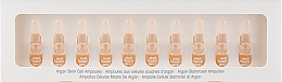 Argan Stem Cells Face Ampoules - Etre Belle Ampoules — photo N3