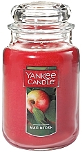 Fragrances, Perfumes, Cosmetics Scented Candle - Yankee Candle Macintosh