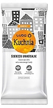 Fragrances, Perfumes, Cosmetics Universal Kitchen Cleaning Wipes - Luba