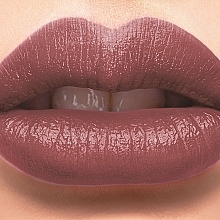 Lipstick - Rimmel Lasting Finish Lipstick — photo N3