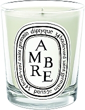 Scented Candle - Diptyque Amber Candle — photo N1