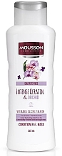 Fragrances, Perfumes, Cosmetics Monsoon Conditioner - Monsoon Conditioner