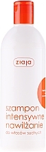 Dry Hair Moisturizing Shampoo "Wheat Germ" - Ziaja Shampoo — photo N1
