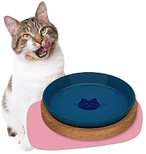 GIFT! Glass Cat Food Plate, blue - Animal Island  — photo N1