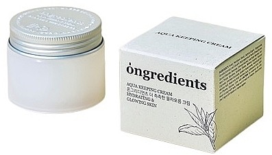 Moisturizing Face Cream - Ongredients Aqua Keeping Cream — photo N2