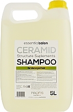 Shampoo for Damaged Hair - Profis Ceramid — photo N2