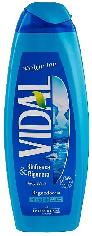 Polar Freshness Shower Gel - Vidal — photo N1