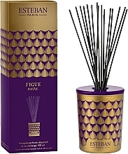 Esteban Figue Noire Decorative - Fragrance Diffuser — photo N1