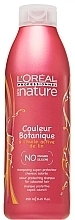 Fragrances, Perfumes, Cosmetics Colored Hair Shampoo - L'Oreal Professionnel Nature Couleur Botanique Protecting Shampoo