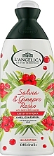 Fragrances, Perfumes, Cosmetics Healing Anti-Dandruff Shampoo - L'Angelica Officinalis Shampoo Anti-dandruff for Dandruff-prone Hair