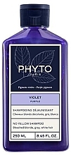 Fragrances, Perfumes, Cosmetics Anti-Yellow Shampoo - Phyto Purple No Yellow Shampoo