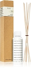 Fragrances, Perfumes, Cosmetics Thyme and Olive Leaf Reed Diffuser Filler - Paddywax Eco Green Diffuser Refill + Reeds Thyme + Olive Leaf