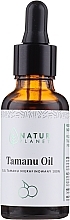 Fragrances, Perfumes, Cosmetics Unrefined 100% - Natur Planet Tamanu Oil 