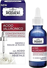 Active Hyaluronic Acid Concentrate - Roberts Acqua alle Rose Acido Ialuronico Concentrato Attivo — photo N1