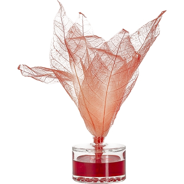 Red Flowers Fragrance Diffuser - Bispol Aura — photo N2