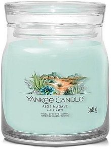 Scented Candle - Yankee Candle Signature Aloe & Agave — photo N1