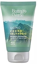 Bottega Verde Cedro Selvaggio - After Shave Balm — photo N1