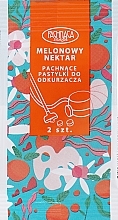 Fragrances, Perfumes, Cosmetics Aromatic Vacuum Cleaner Sachet 'Melon Nectar' - Pachnaca Szafa