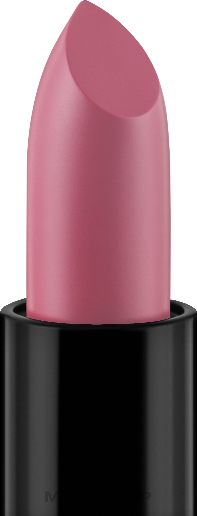 Lipstick - KSKY Intense Classic Lipstick — photo KS 202 - Rose Natural