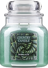 Fragrances, Perfumes, Cosmetics 2-Wick Scented Candle in Jar - Country Candle Spiral Aloe