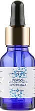 Fragrances, Perfumes, Cosmetics Hyaluronic Acid with Collagen - H2Organic Hyaluronic Acid Solution 100 With Collagen